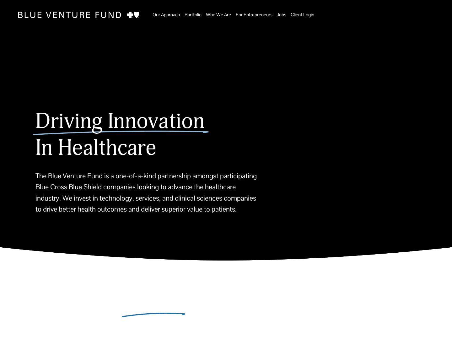 Blue Venture Fund