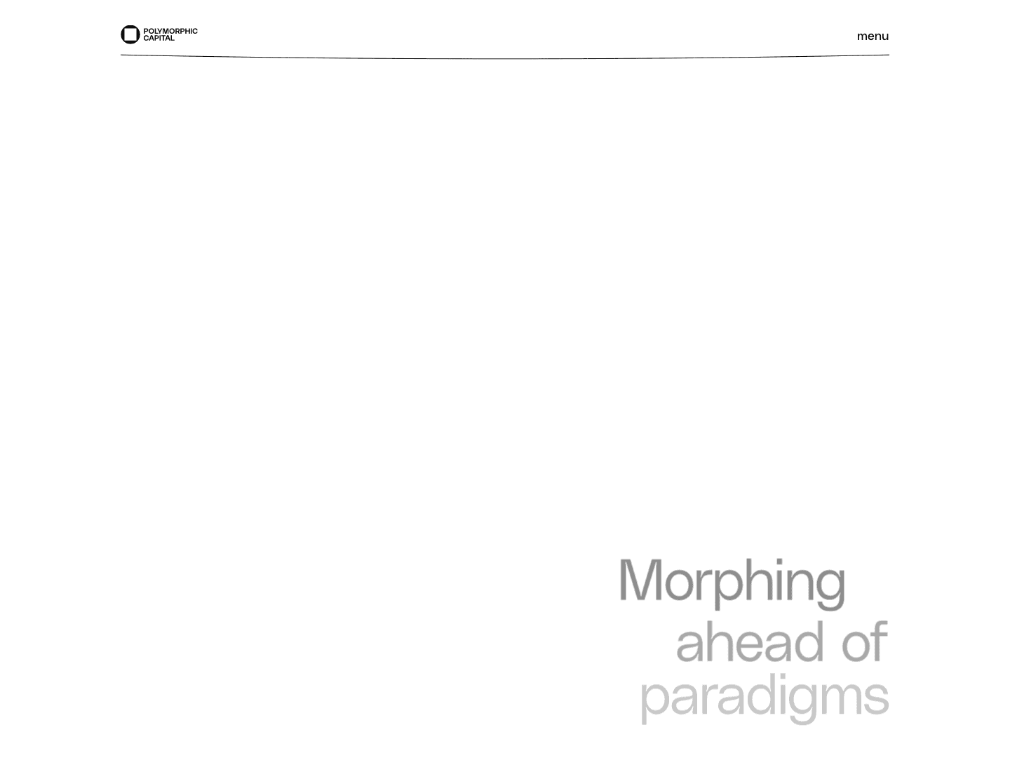 Polymorphic Capital