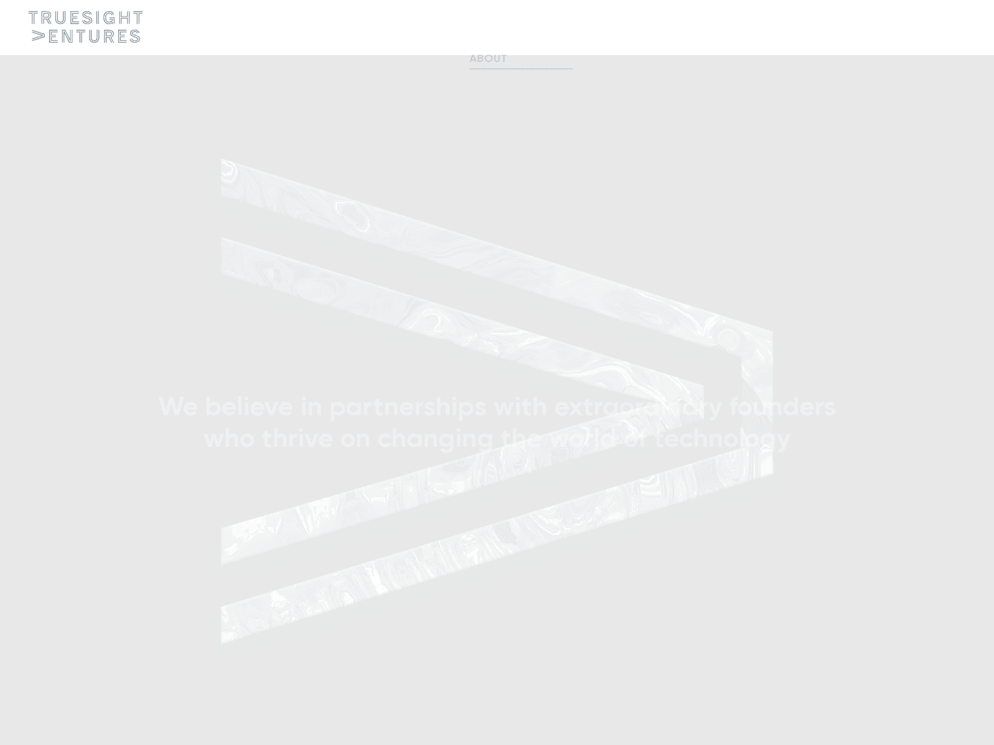 TrueSight Ventures