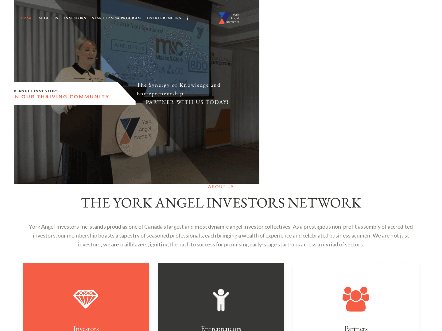 York Angels