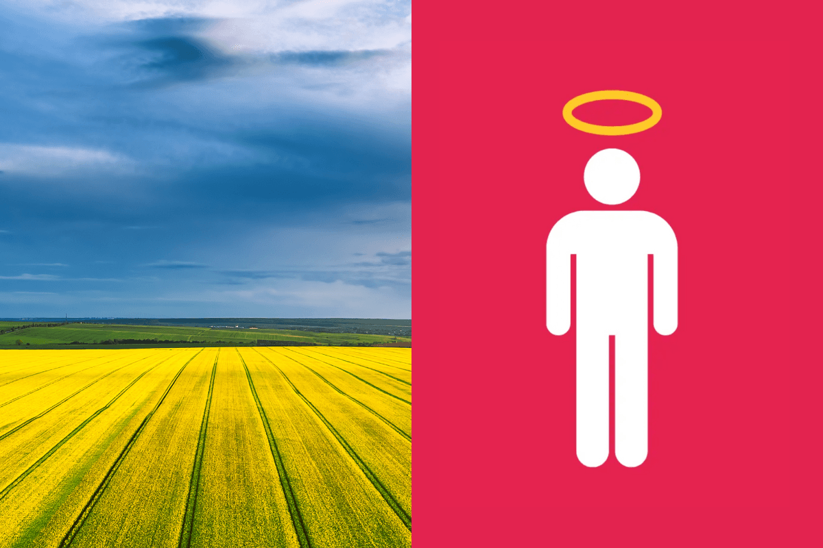 57 Agtech angel investors in the UK (2026)